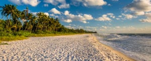 beach background 300x122 - A message from the CEO
